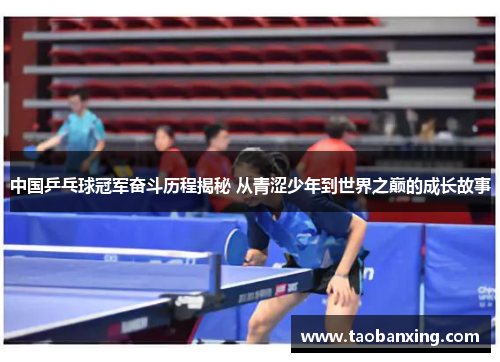 中国乒乓球冠军奋斗历程揭秘 从青涩少年到世界之巅的成长故事 中国乒乓球冠军奋斗历程揭秘 从青涩少年到世界之巅的成长故事